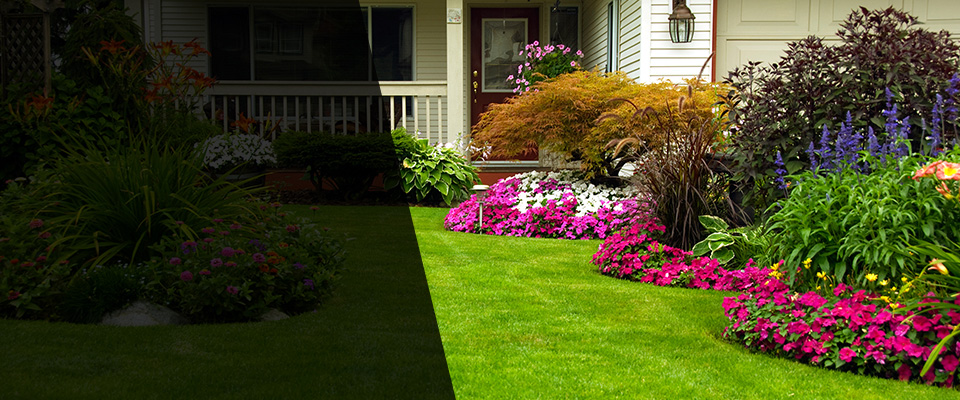 Mililani Landscapers